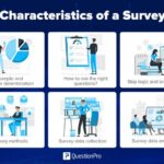 Using Surveys to Gather Customer Insights