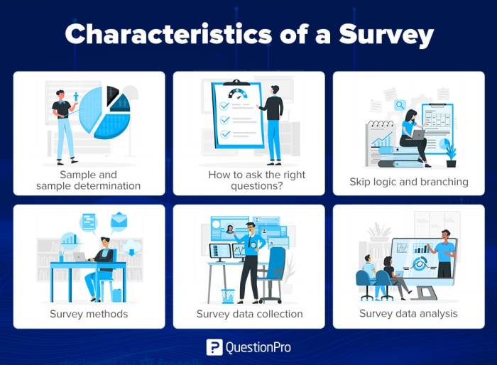 Using Surveys to Gather Customer Insights