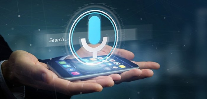 Voice Search Optimization